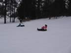 moo122707 068.jpg (29kb)